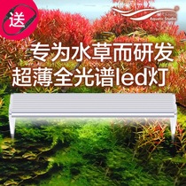Chihiro led aquatic grass lamp aquarium aquatic hair color lamp full spectrum fish tank grass tank water and land rainforest cylinder lighting lamp