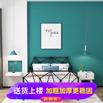 Modern simple luxury European style iron bed apartment rental house master bedroom second bedroom metal bed net red thick double bed