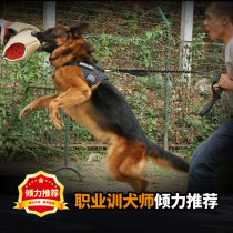 Outstanding dog leash large and small dog training walking dog chain extended horse dog golden retriever pet K9 dog rope