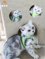 Cat kitten traction rope black small telescopic dog walking out to prevent breaking away cat rope medium bolt cat chain