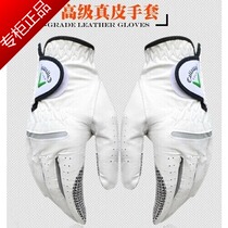Golf gloves Mens and womens lambskin golf gloves non-slip wear-resistant left and right hand leather gloves