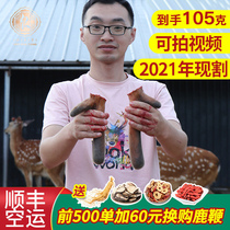 You Ren Tang Jilin plum blossom velvet antler horn pruning fresh deer slices first stubble male wine medicinal herbs