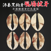 Real black dog tooth pendant male and female Tibetan mastiff necklace baby earth dog wolf dog tooth pendant childrens wolf tooth carry jewelry