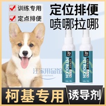 Corgi special dog inducer defecate toilet guide liquid pet dog urine puppies toilet long-acting