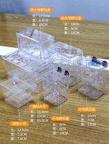 Guppies breeding box Incubator double self-floating juvenile egg incubator spawning room fighting fish isolation box extra large
