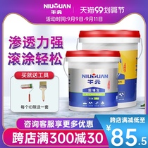 Wall solid wall glue interior wall reinforcement agent interface agent household ground solid yellow exterior wall Wall curing agent