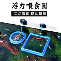 Guppy feeding fish tank ring Fixed-point feeder Feeder Buoyancy ring Fish feeding shrimp feeding small feeding tube feeding