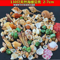 Shell pendant scallop beach artwork Pink mini hermit crab gift material Childrens birthday jewelry sea