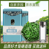 Tongcheng small flower new tea 2021 tea Anhui direct sale super high mountain cloud tender Bud 250g gift box canned