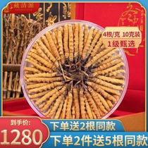 Tibet Naqu fresh dried Cordyceps 4 grams 10 grams 40 gift boxes Natural first-stage cordyceps dry goods