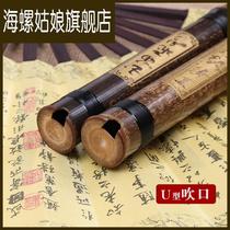 Xiao Musical Instruments Beginners Adult Zero Basic Introduction Zizhu Professional Dong Xiao Eight Hole Three Sections Long Xiao G F Xiao
