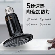 Kuke pet ceramic heating lamp hermit crab hamster heating lamp parrot winter warm lamp constant temperature heating without light