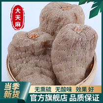 Tianma Yunnan Zhaotong dry goods natural Chinese medicine Xiaocaoba Fresh natural non-wild premium Tianma flakes Tianma powder