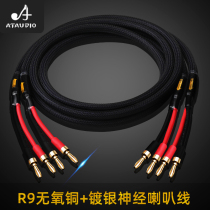 ATAUDIO fever horn wire pure copper belt silver-plated nerve wire main speaker surround sound wire connection special wire