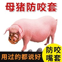 Sow anti-bite sleeve Piggy artifact Pig mouth sleeve Anti-bite sow mouth sleeve Horse cow and sheep anti-eating pig special