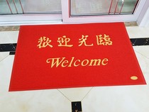 Welcome to the doormat Entry and exit safety non-slip carpet Entry door entrance door household mat Plastic wire rod mat