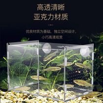 Hatching box Cage Double-layer fish eggs multi-grid reproductive juveniles King-size fish tank isolation box Viviparous fish acrylic
