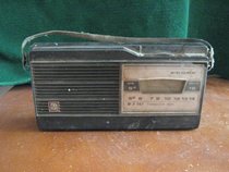 Hengfang Workshop Semiconductor Peony radio and TV props can be made accessories to collect hobby radio history