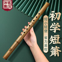Dong Xiao Musical Instrument Xiao Beginners Professional Performance Grade Students Zero Foundation Six Eight Hole G Tone F Ancient Style Purple Bamboo Short Xiao Flute