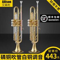 Eisenli trumpet instrument horn copper wind instrument professional performance trumpet trumpet trumpet trumpet trumpet number down B key