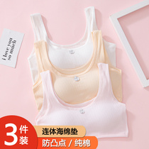 Girl underwear student development period junior high school student adolescent bra middle school student big child child girl vest woman