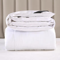 Color Larry down quilt Duck down quilt Feather silk quilt Imitation goose down quilt thickened winter quilt