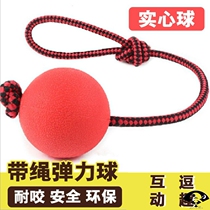 Dog interactive toy Bite-resistant molar Large dog Golden retriever Teddy puppy Solid toy ball knot Pet supplies