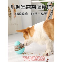 Dog food ball tumbler toy puzzle boredom bite-resistant Golden retriever small and medium-sized dog Slow food Teddy artifact New