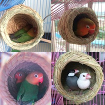 Birds Nest Parrot Nest winter warm cao bian wo peony budgie Birds Nest fan zhi xiang winter bird cage