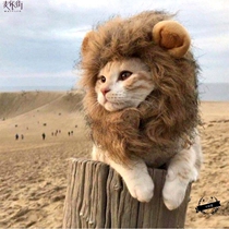 Cat headdress Pet decoration Two Ha golden hair lion head set early funny cute plush dog hat animal