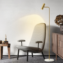 Light luxury floor lamp LED simple living room sofa side reading bedroom bedside reading lighting Nordic vertical table lamp