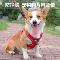 Vest-style dog leash Corky Dou small dog breast strap pet walking dog rope anti-bite dog rope chain