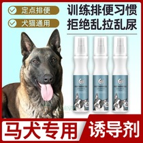 Special pet dog dog guide dog inducer lure toilet fluid catheterization defecation defecation sterilization training dog