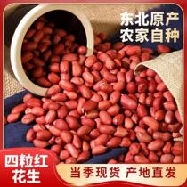 New goods Northeast four-grain red peanuts farmhouse self-produced bulk 5kg of red skin peanuts small grain selection to Shell