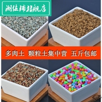 Fleshy soil nutrient soil vermiculite flower soil wheat grain soil volcanic stone Jade soil paving