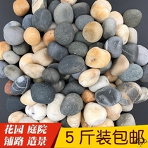 Natural Pebble wooden barrel fish stone paving stone garden garden stone fish tank Rain Flower Stone goose warm stone paving floor