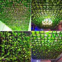 Plastic flower indoor and outdoor true and false watermelon rattan wedding shop living room pipe ceiling wall decoration