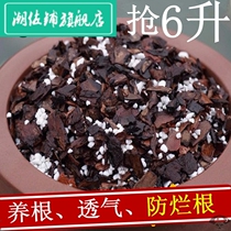 Household orchid special soil Dendrobium candidum substrate Phalaenopsis gentleman orchid plant planting nutrient soil