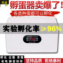 Incubator Small household water bed hatching machine Automatic intelligent mini chicken duck goose quail bird egg hatching box