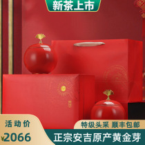 Golden Bud Anji White Tea 2021 New Tea Before Ming Rare buds Zhejiang Huzhou green tea leaves gift box