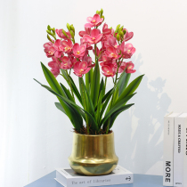 High simulation Cymbidium flower living room TV cabinet flower coffee table decorative flowers light luxury fake flower ornaments potted plants