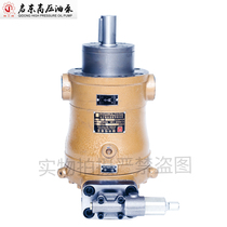 Qidong High Pressure Oil Pump Co Ltd 10 16 25 32 40 63 80YCY14-1B Axial piston pump