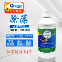 2020 Shuiba pool water park algaecide algaecide swimming pool algaecide swimming to remove moss blue green algae agent