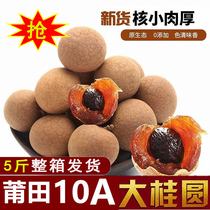 Fujian Putian specialty dried longan 10a premium large bubble water dried longan 2020 new nuclear small meat thick whole box 5 pounds