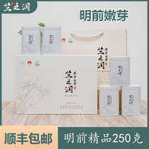  Spot 2021 new tea Zhu Zhirun authentic Anji white Tea Mingqian boutique buds 250g gift box green tea