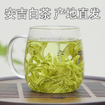 2021 new tea Zhu Zhu Runzong Anji white tea before the first level 125 grams of bagged Green Tea Spring Tea origin origin