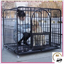 Assembly indoor dog type pet dog Satsuma Schnauer idyllic dog cage small dog outdoor outdoor medium dog