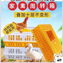 Chicken cage turnover box household extra-large chicken cage duck pigeon rabbit chicken poultry transport basket cage plastic chicken frame