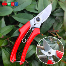 Sagawa Tin 120A Fruit tree pruning shears branch shears gardening flower cutting garden labor-saving pruning rough shears