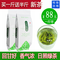 2021 Rizhao green tea new tea spring tea first class Shandong tea green tea Alpine fried green 500g gift box bag